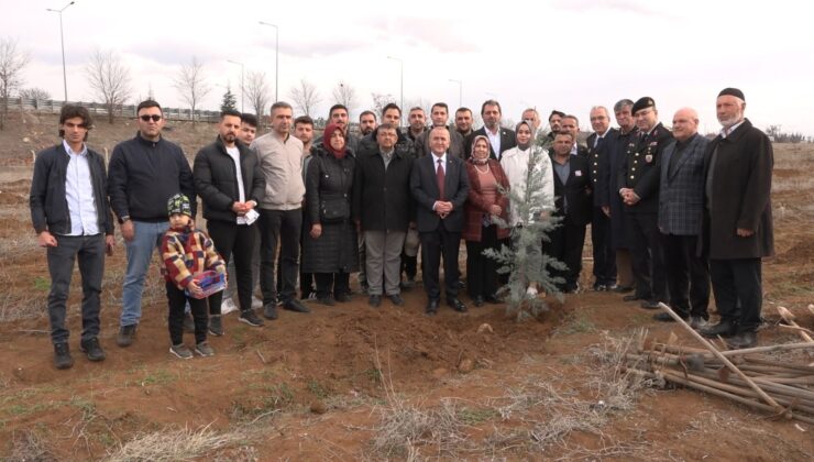 Elazığ’da, Çanakkale Şehitleri İçin Fidan Dikildi