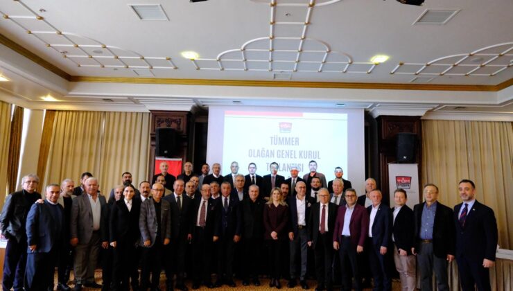 Ali Seyran, Yeniden TÜMMER Yönetim Kurulunda Yer Aldı
