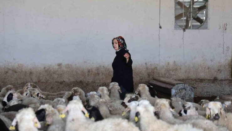 Elazığlı Nurcan Fıratoğlu’ndan Kırsalda Başarı Hikayesi: Devlet Desteğiyle Çiftlik Kurdu